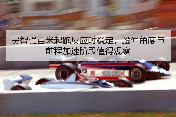 wu-zhi-qiang-bai-mi-qi-pao-fan-ying-shi-wen-ding-deng-shen-jiao-du-yu-qian-cheng-jia-su-jie-duan-zhi-de-guan-cha-2-487.jpg